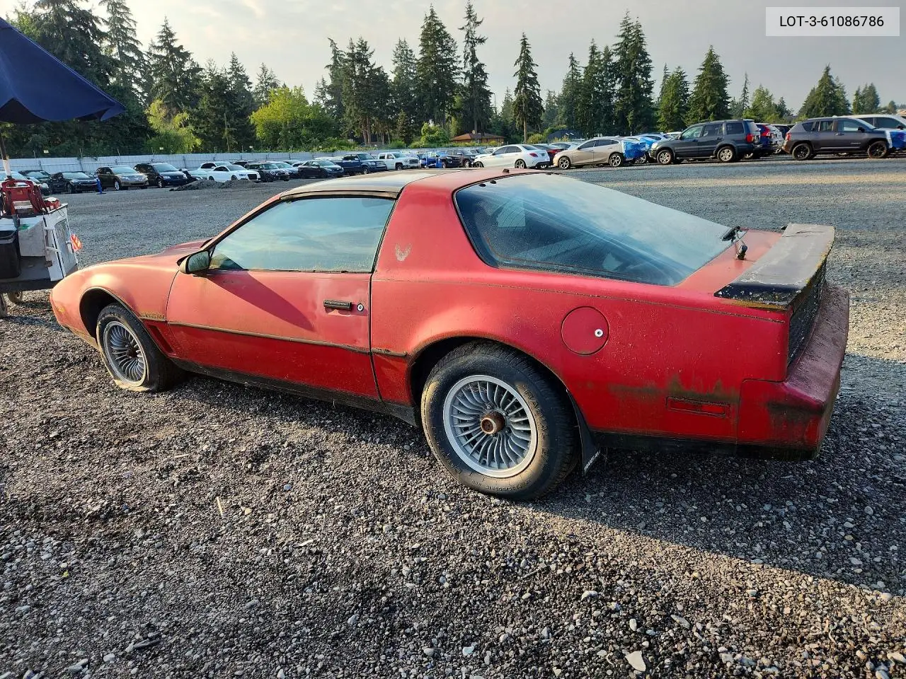 1982 Pontiac Firebird Trans Am VIN: 1G2AW8779CL558084 Lot: 61086786