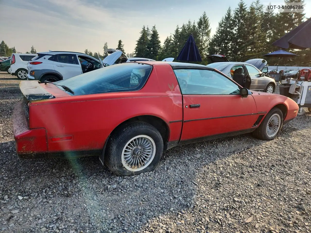 1982 Pontiac Firebird Trans Am VIN: 1G2AW8779CL558084 Lot: 61086786