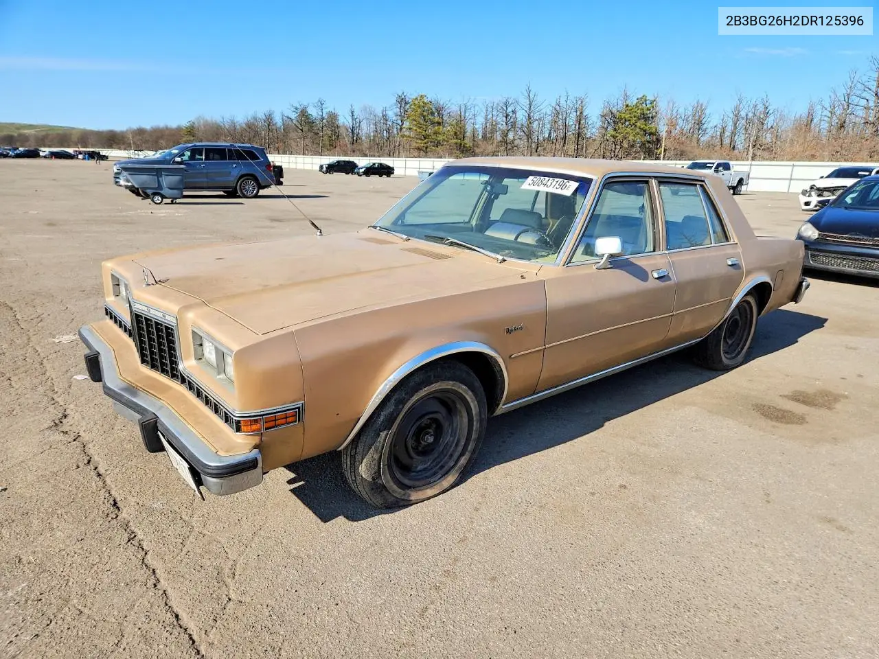 1983 Dodg Diplomat VIN: 2B3BG26H2DR125396 Lot: 50843196