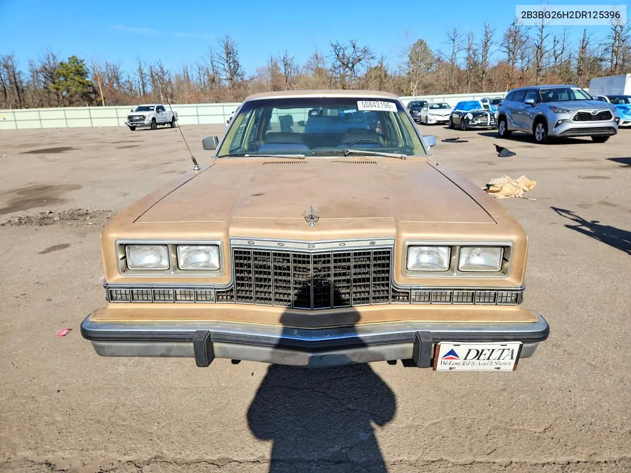 1983 Dodg Diplomat VIN: 2B3BG26H2DR125396 Lot: 50843196
