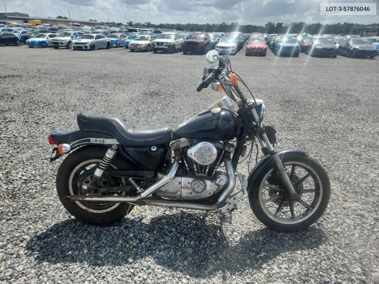 1984 Harley Davidson Sportster VIN: 1HD1CCH22EY257638 Lot: 57876046