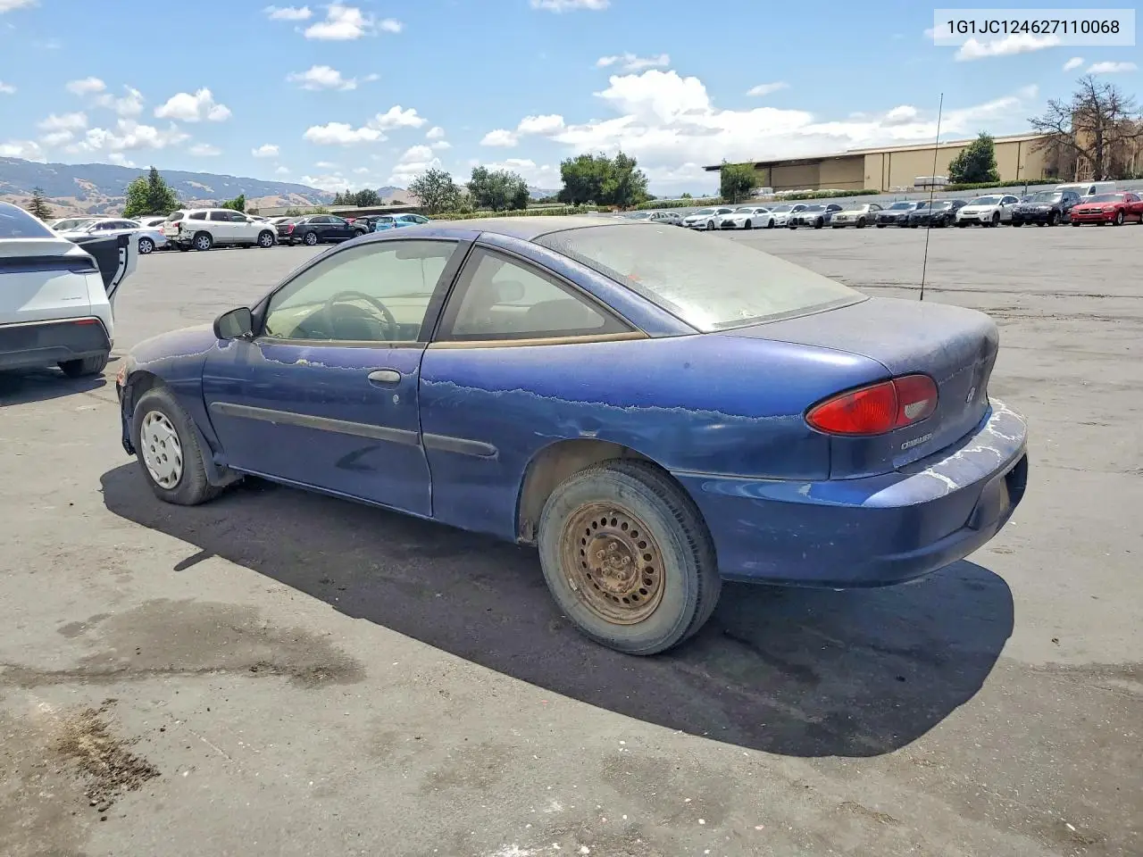 Cavalier