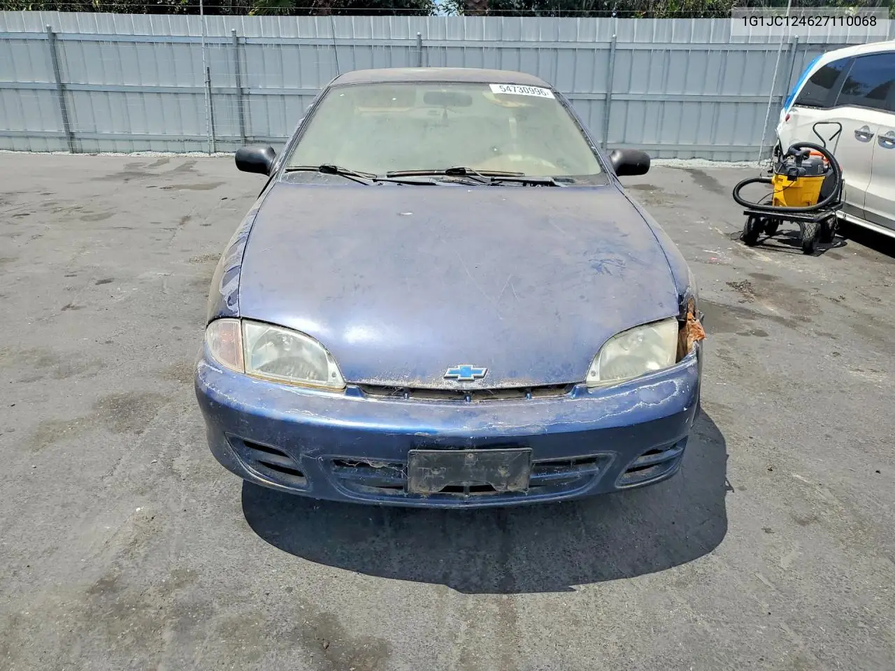 Cavalier
