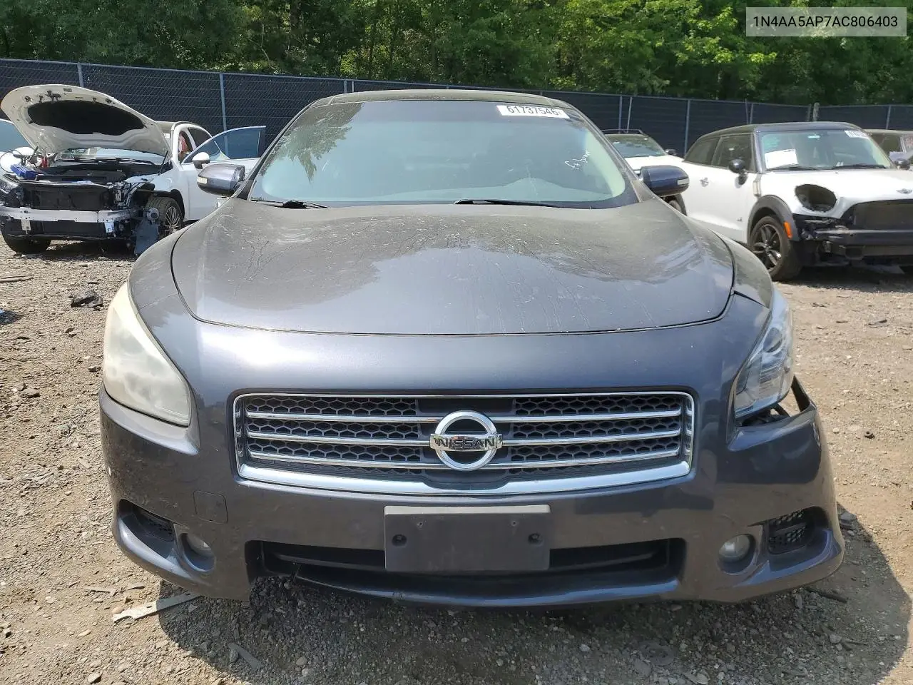 2010 Niss Maxima VIN: 1N4AA5AP7AC806403 Lot: 61737546