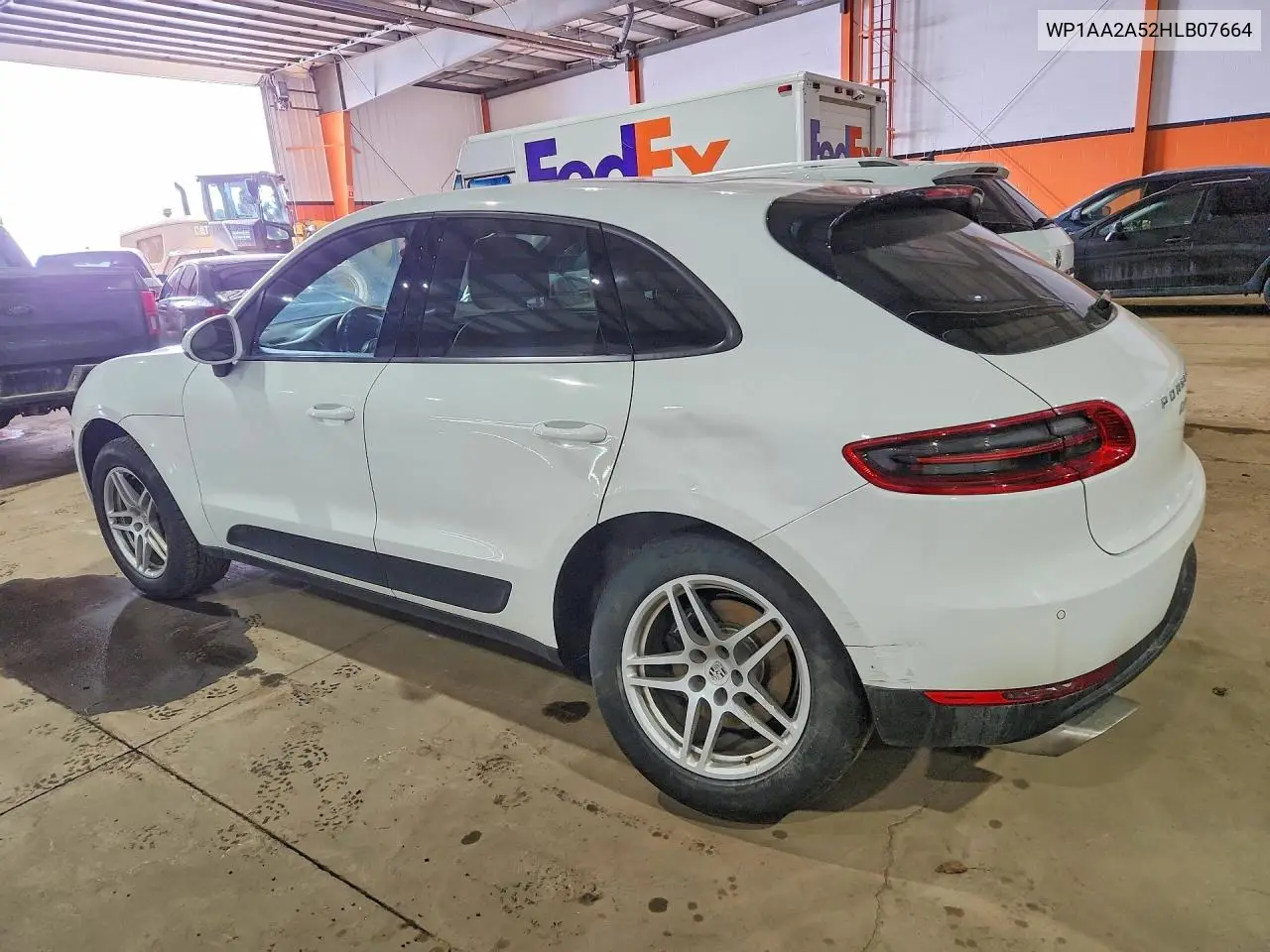 Macan