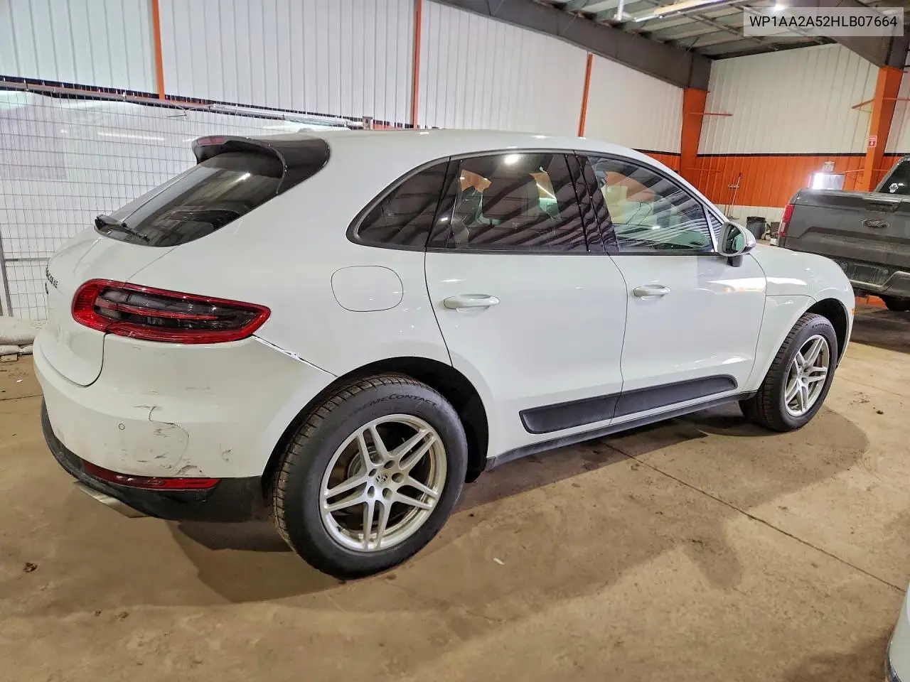 Macan
