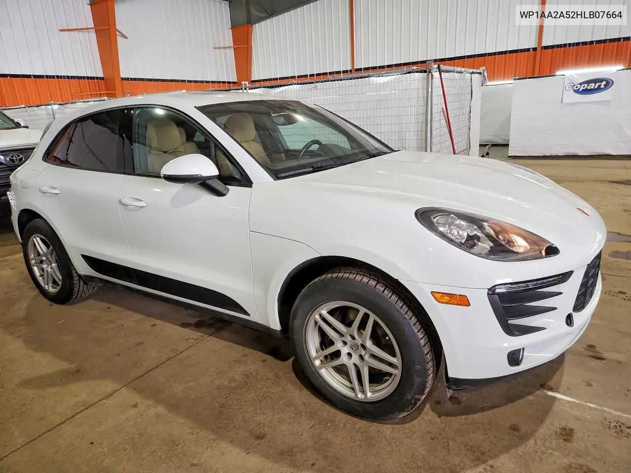 Macan