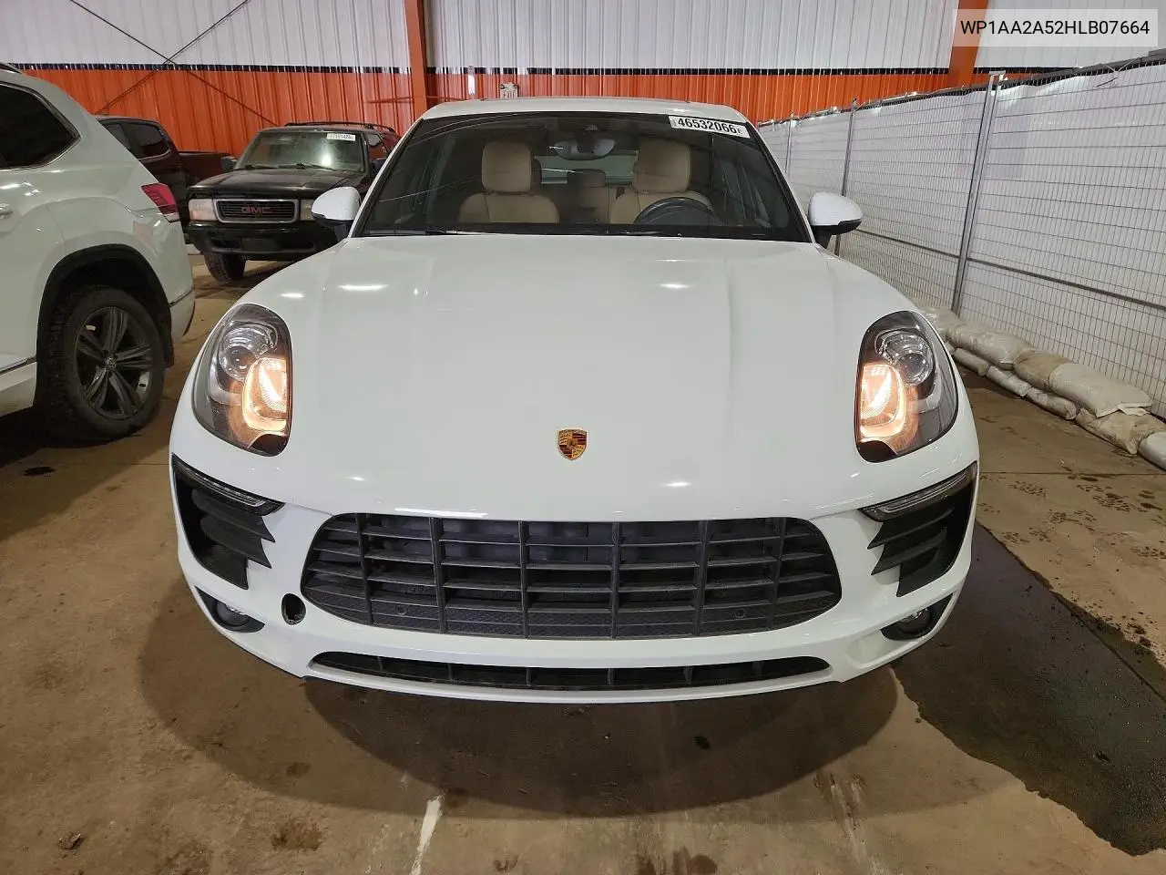 Macan