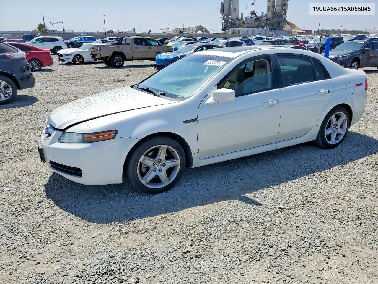 2005 Acura Tl VIN: 19UUA66215A055845 Lot: 56548756