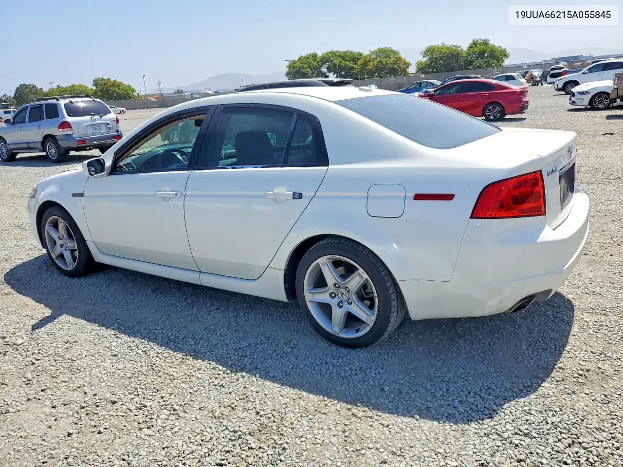2005 Acura Tl VIN: 19UUA66215A055845 Lot: 56548756