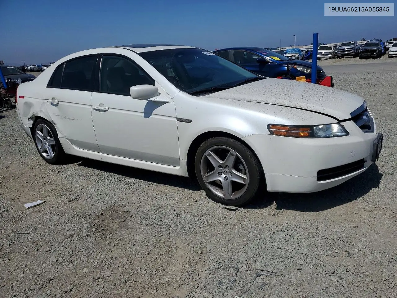 2005 Acura Tl VIN: 19UUA66215A055845 Lot: 56548756