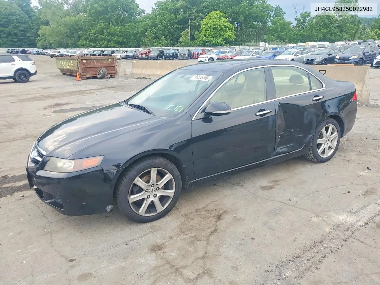2005 Acura Tsx VIN: JH4CL95825C022982 Lot: 58836366