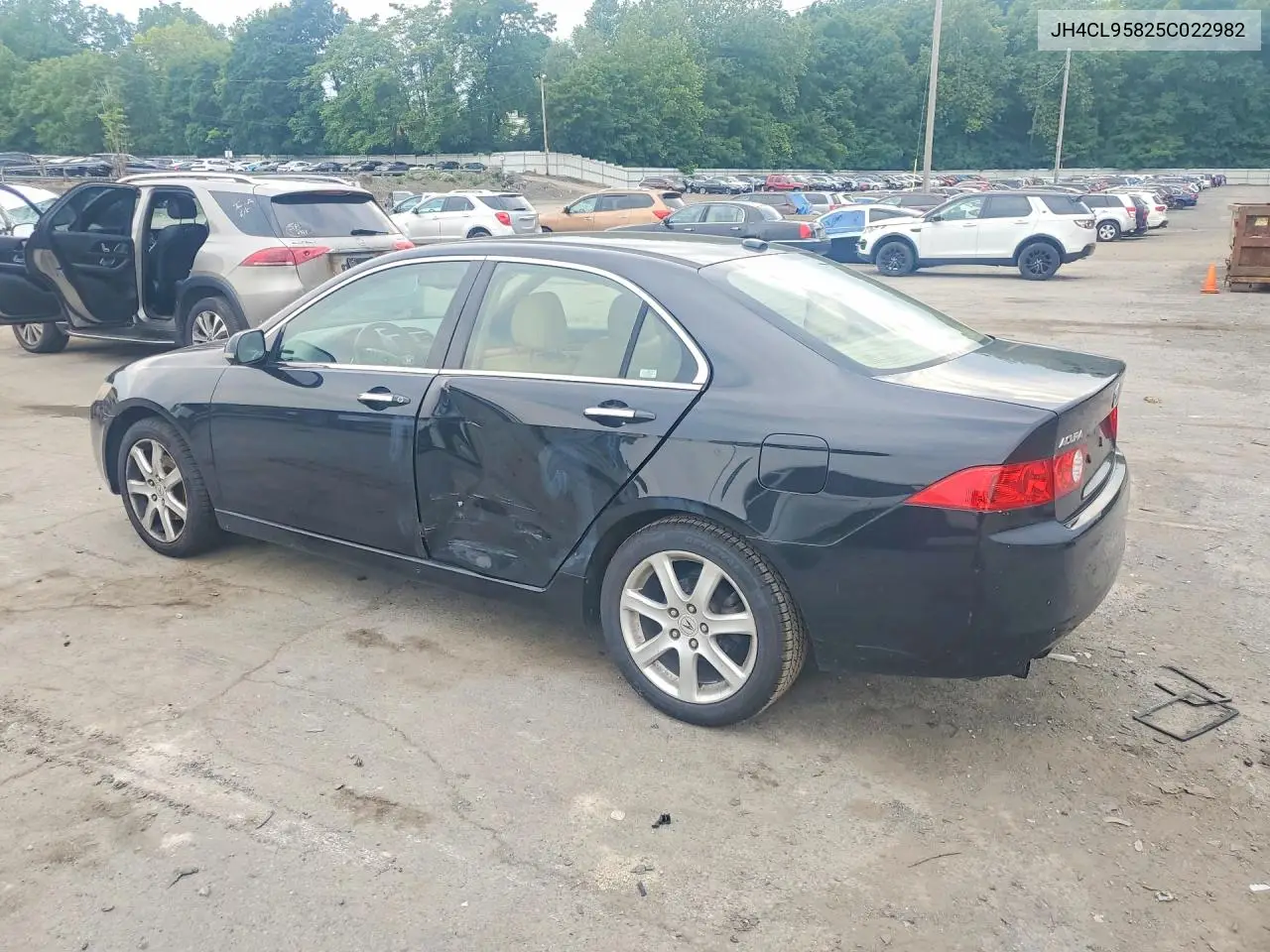 2005 Acura Tsx VIN: JH4CL95825C022982 Lot: 58836366