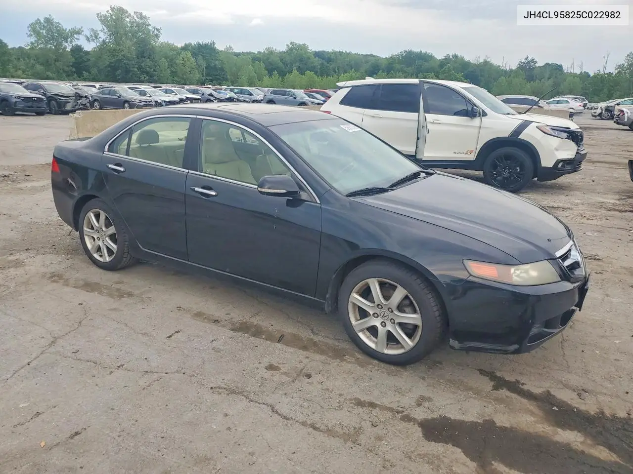2005 Acura Tsx VIN: JH4CL95825C022982 Lot: 58836366