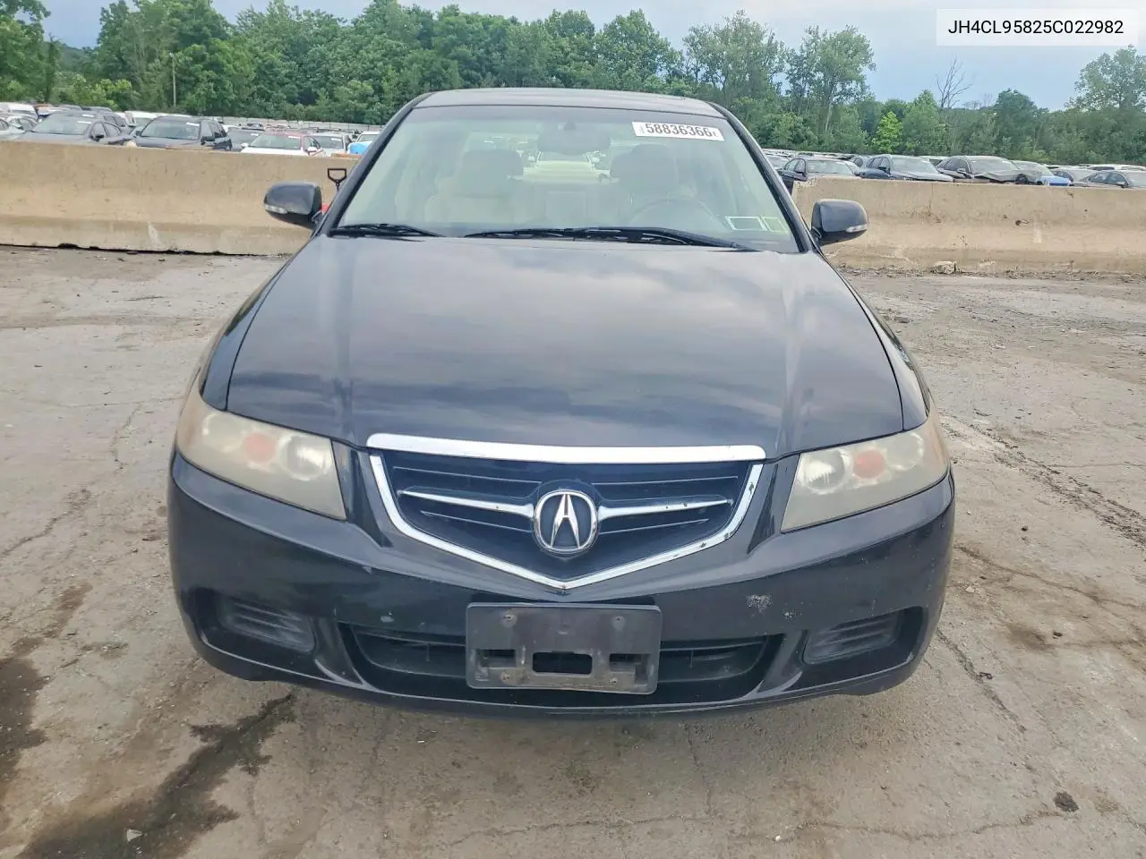 2005 Acura Tsx VIN: JH4CL95825C022982 Lot: 58836366