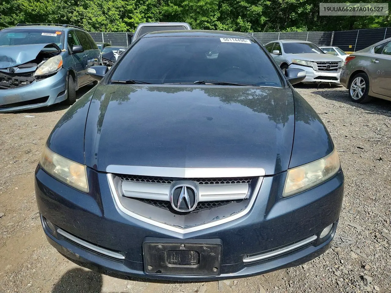 2007 Acura Tl VIN: 19UUA66287A016527 Lot: 56114496