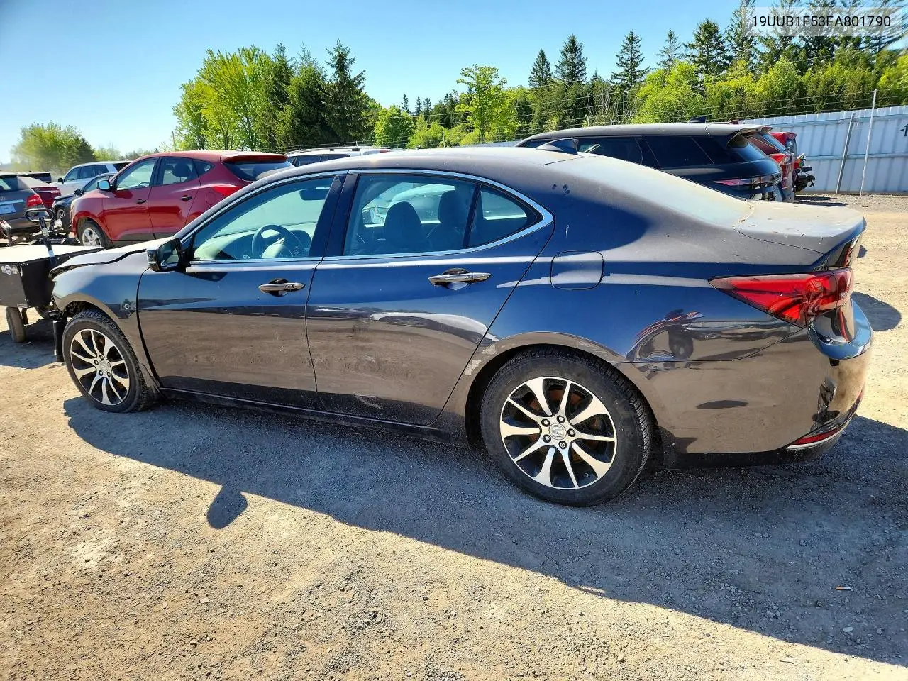 TLX