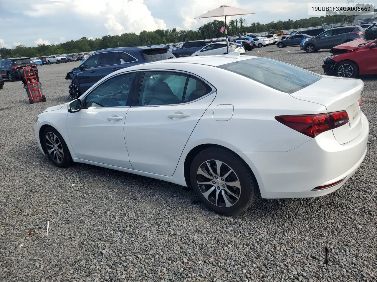 2016 Acura Tlx VIN: 19UUB1F3XGA006669 Lot: 59864866