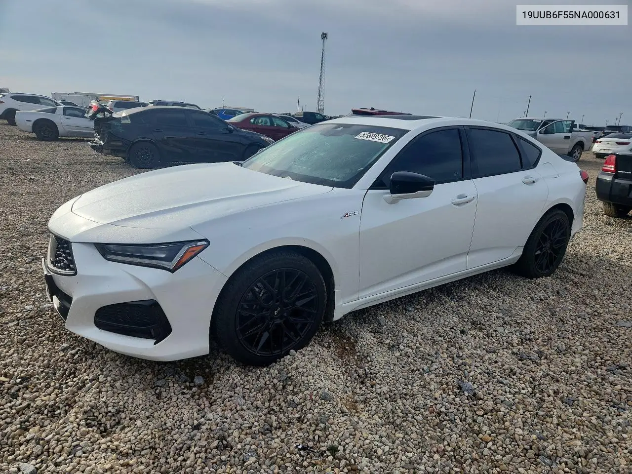 2022 Acura Tlx Tech A VIN: 19UUB6F55NA000631 Lot: 55609796