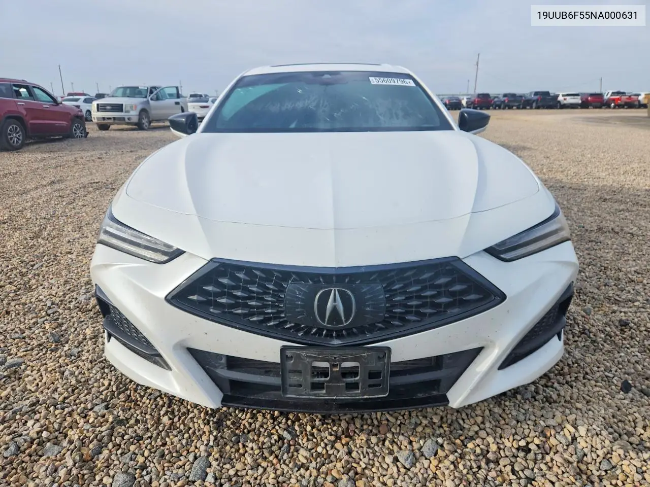 2022 Acura Tlx Tech A VIN: 19UUB6F55NA000631 Lot: 55609796
