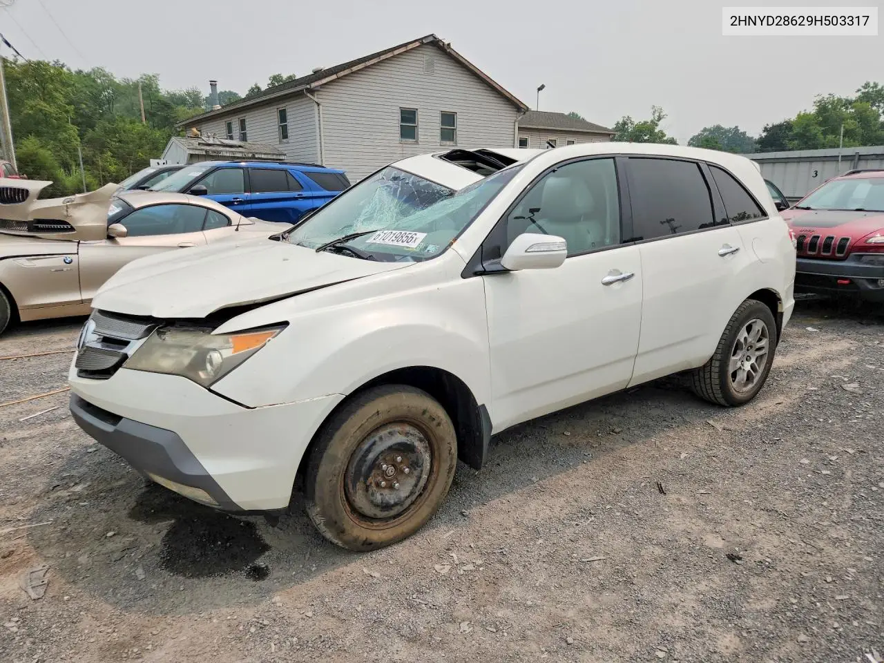 2009 Acura Mdx Technology VIN: 2HNYD28629H503317 Lot: 61019856