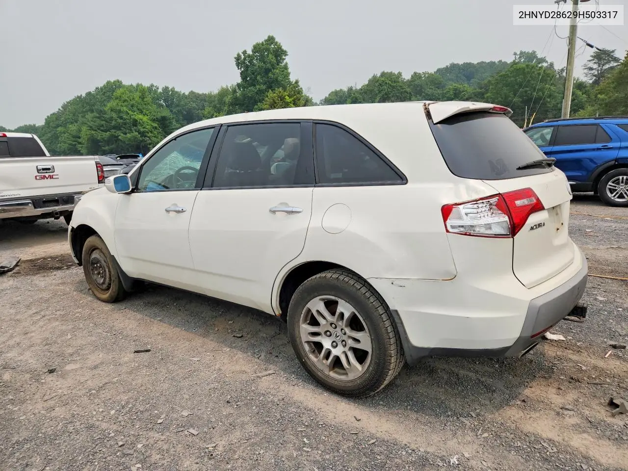 2009 Acura Mdx Technology VIN: 2HNYD28629H503317 Lot: 61019856