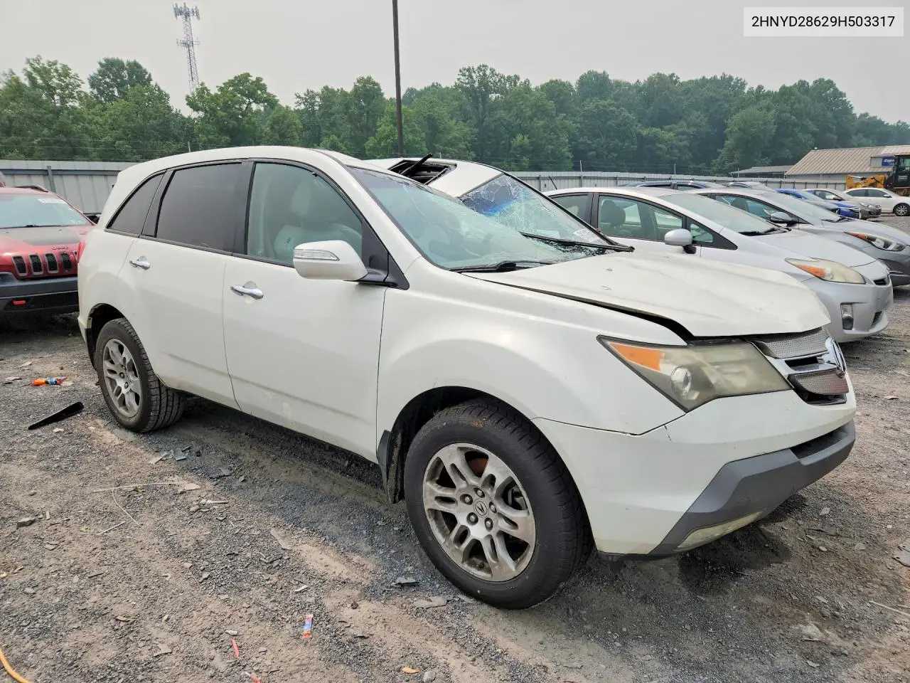2009 Acura Mdx Technology VIN: 2HNYD28629H503317 Lot: 61019856