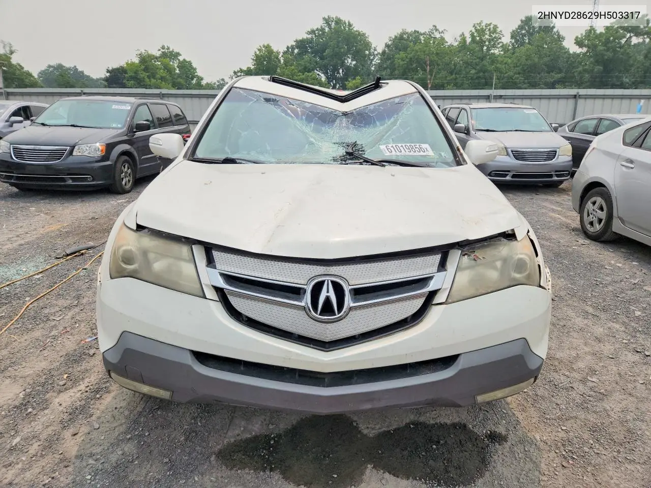 2009 Acura Mdx Technology VIN: 2HNYD28629H503317 Lot: 61019856