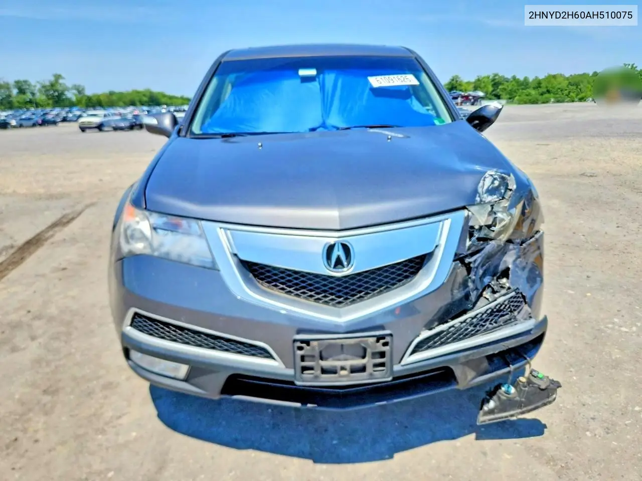 2010 Acura Mdx Technology VIN: 2HNYD2H60AH510075 Lot: 61091626