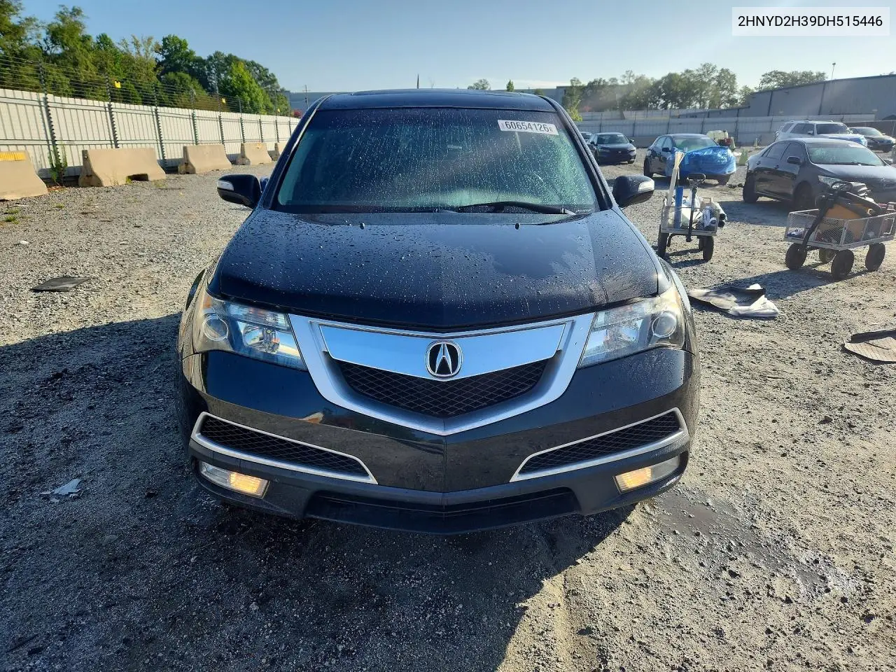 2013 Acura Mdx Technology VIN: 2HNYD2H39DH515446 Lot: 60654126
