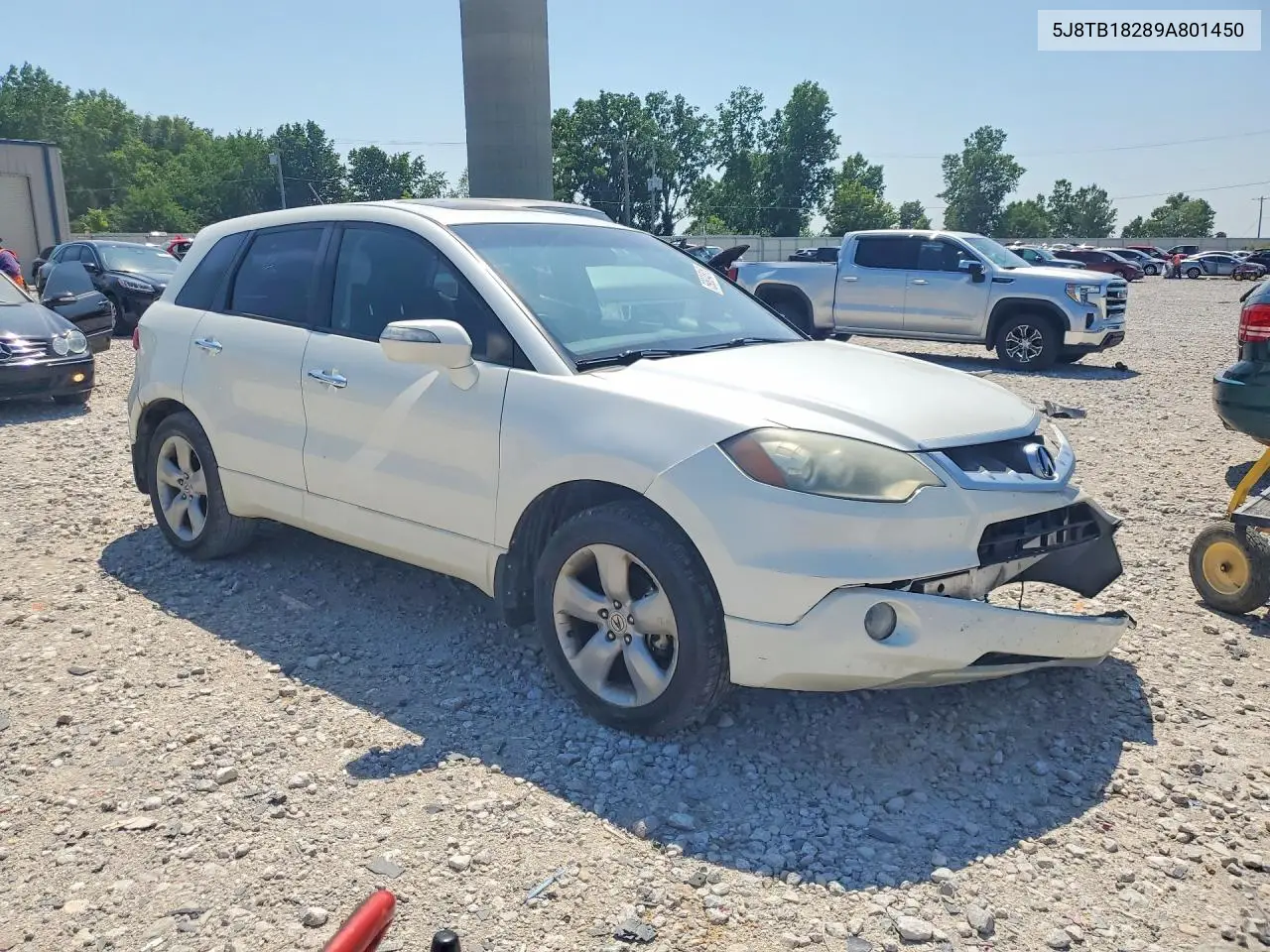 2009 Acura Rdx VIN: 5J8TB18289A801450 Lot: 59824316