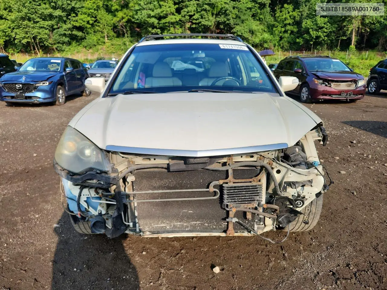 2009 Acura Rdx Technology VIN: 5J8TB18589A001760 Lot: 61741556