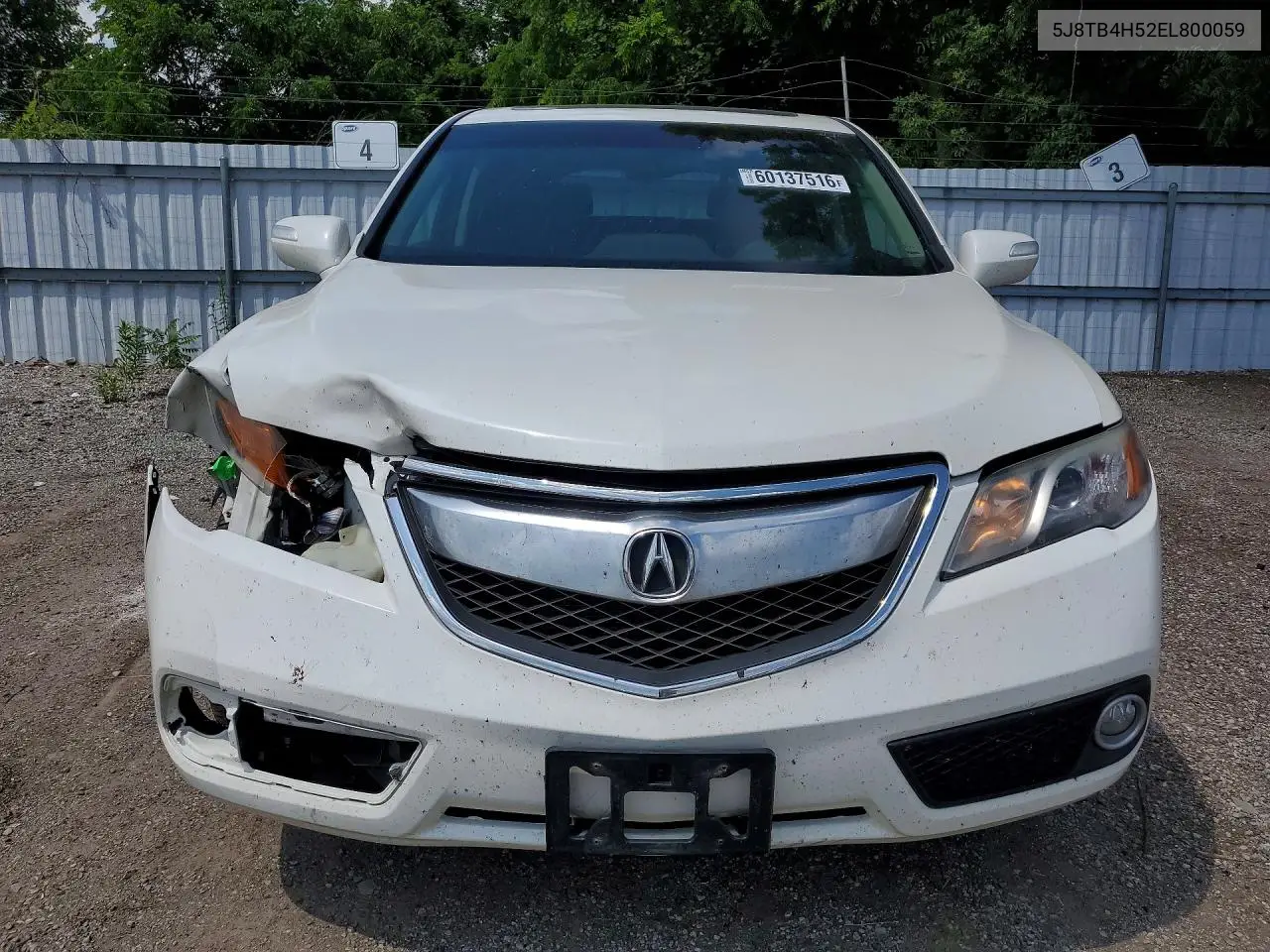 2014 Acura Rdx Technology VIN: 5J8TB4H52EL800059 Lot: 60137516