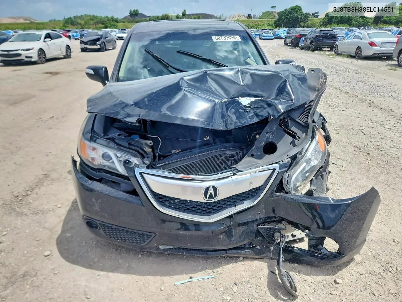 2014 Acura Rdx VIN: 5J8TB3H38EL014551 Lot: 60739096