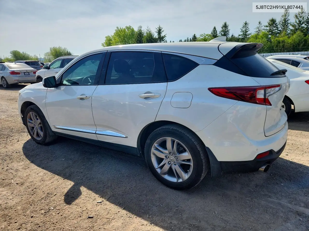 2019 Acura Rdx Platinum Elite VIN: 5J8TC2H91KL807441 Lot: 55932946