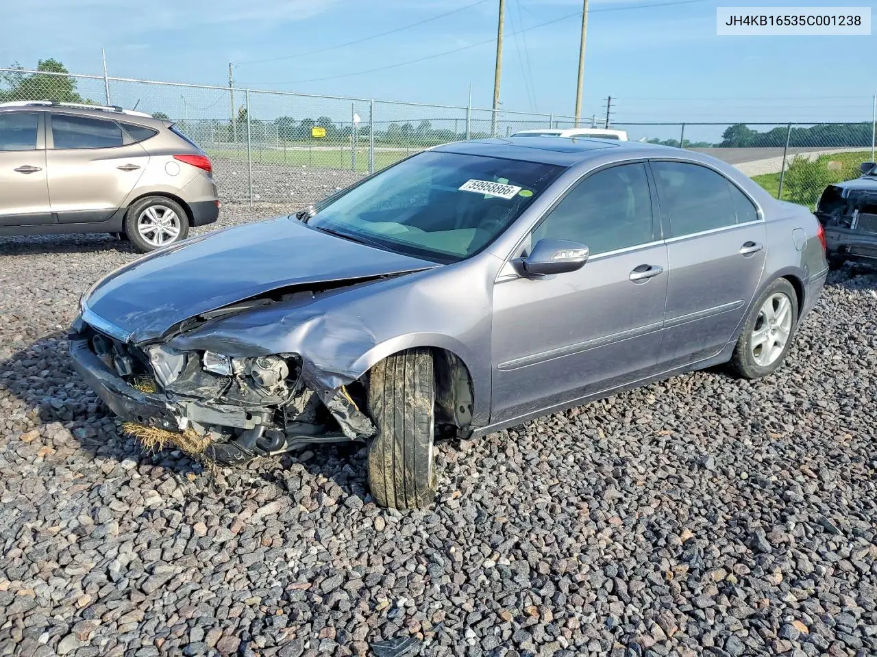 2005 Acura Rl VIN: JH4KB16535C001238 Lot: 59958866