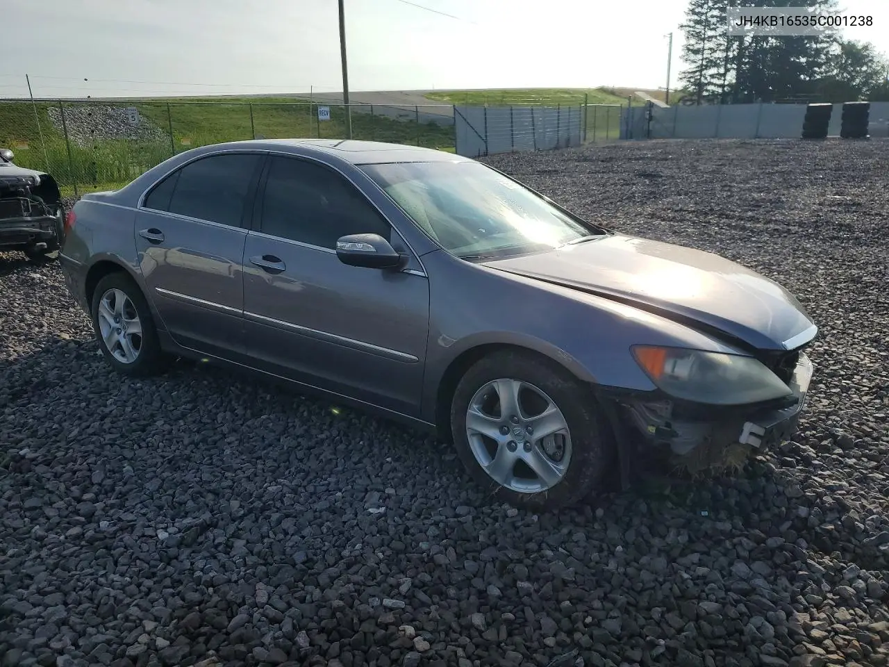 2005 Acura Rl VIN: JH4KB16535C001238 Lot: 59958866