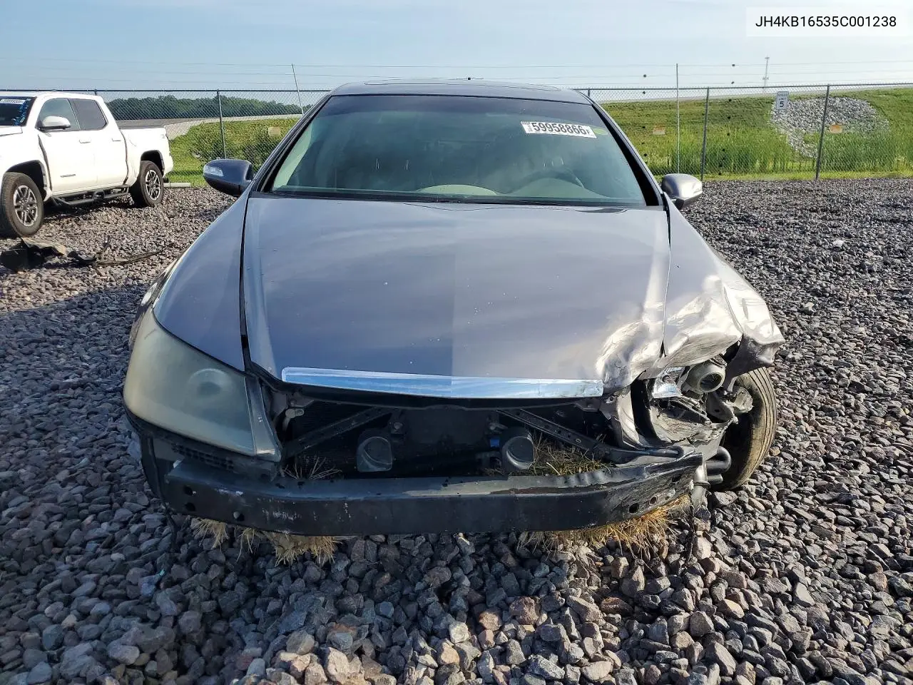 2005 Acura Rl VIN: JH4KB16535C001238 Lot: 59958866