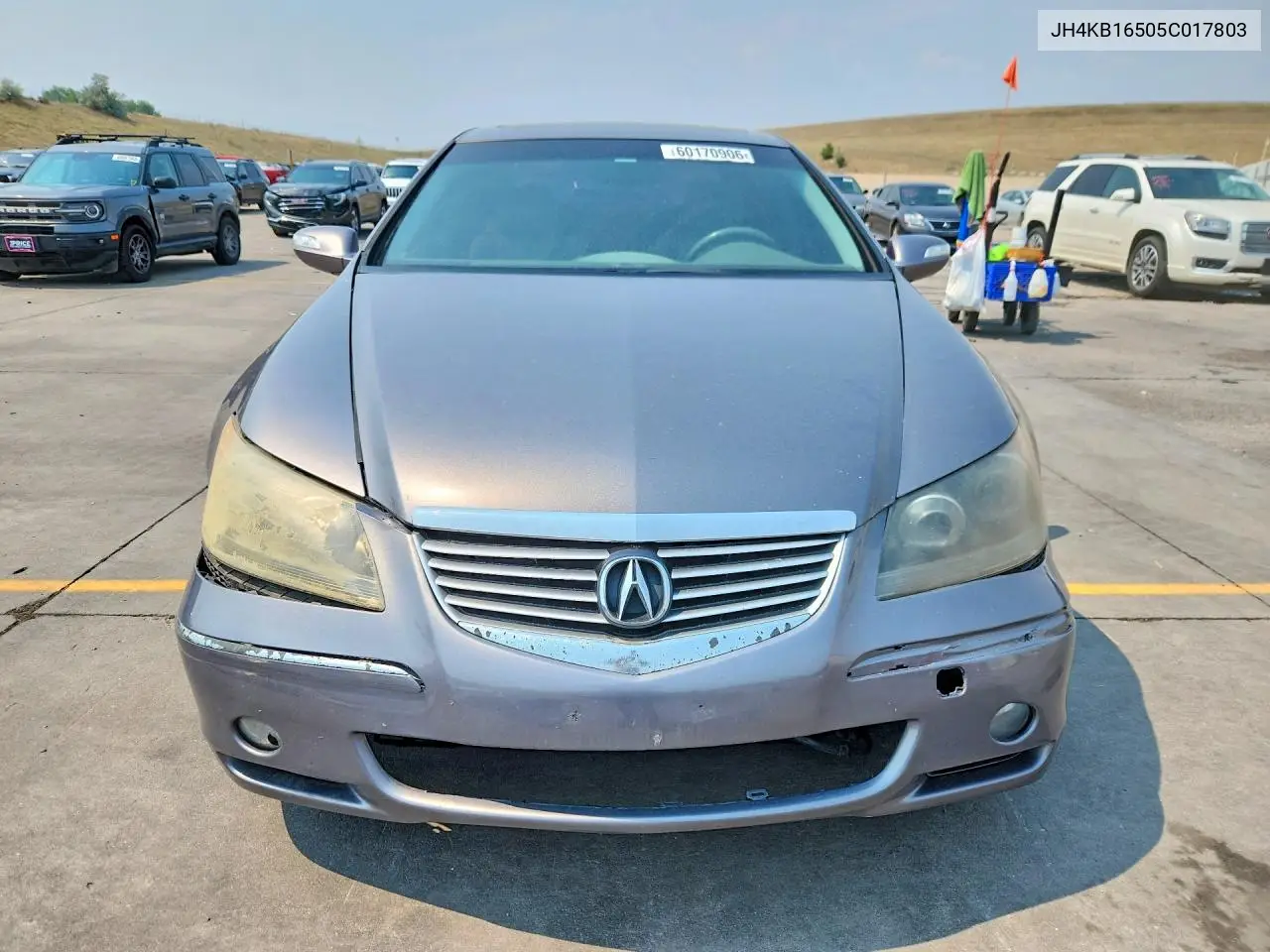 2005 Acura Rl VIN: JH4KB16505C017803 Lot: 60170906