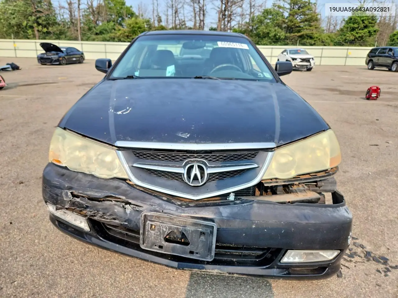 2003 Acura 3.2Tl VIN: 19UUA56643A092821 Lot: 60965116