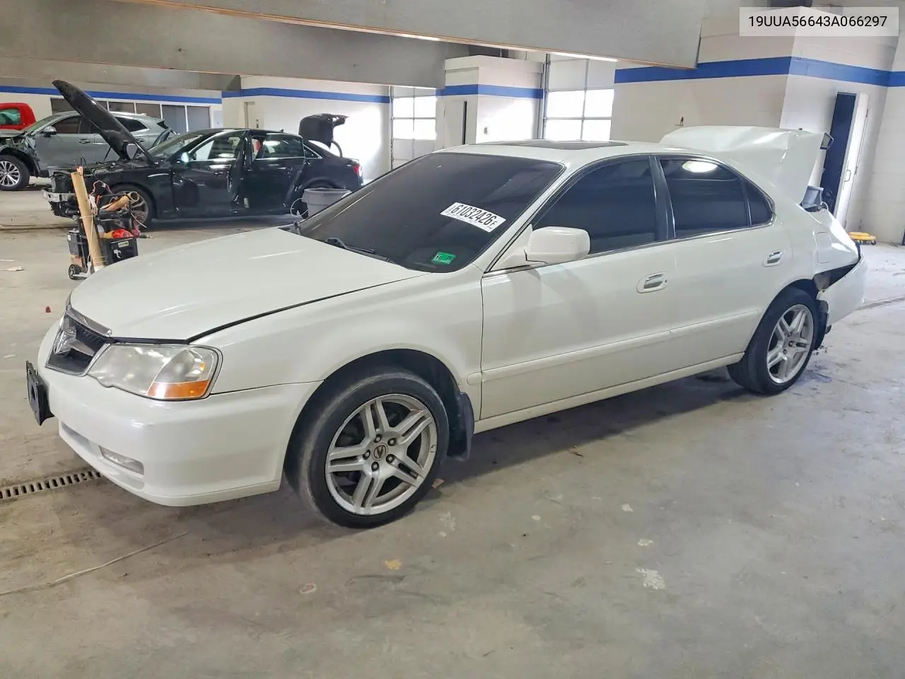 2003 Acura 3.2Tl VIN: 19UUA56643A066297 Lot: 61032426