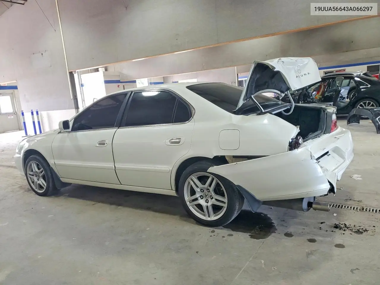 2003 Acura 3.2Tl VIN: 19UUA56643A066297 Lot: 61032426