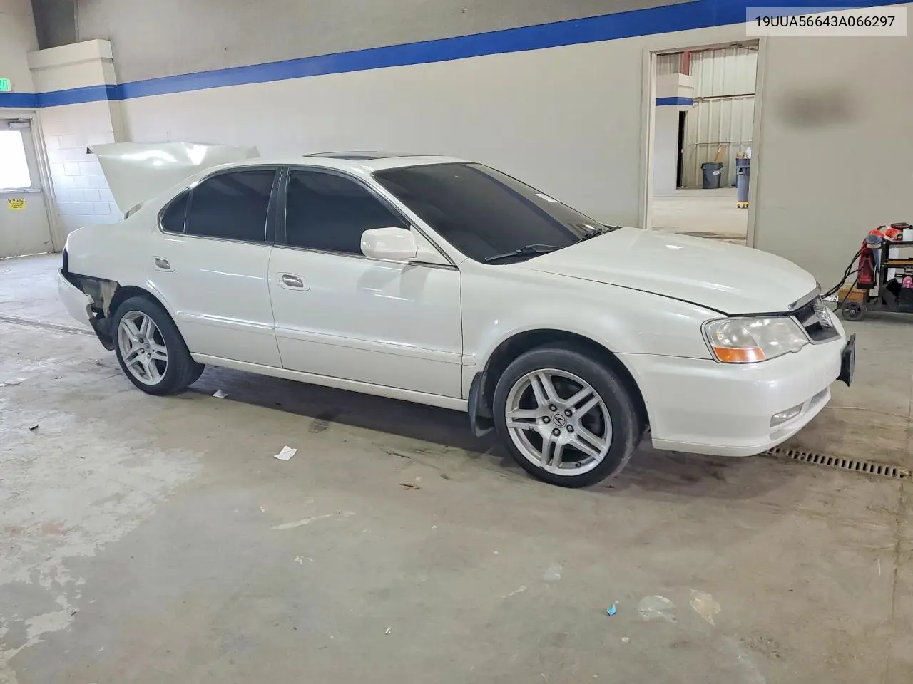 2003 Acura 3.2Tl VIN: 19UUA56643A066297 Lot: 61032426