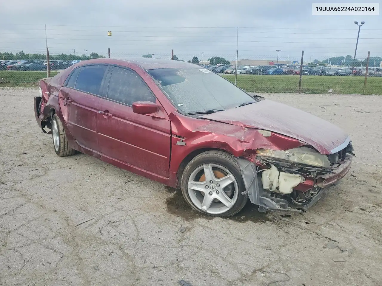 2004 Acura Tl VIN: 19UUA66224A020164 Lot: 60226446