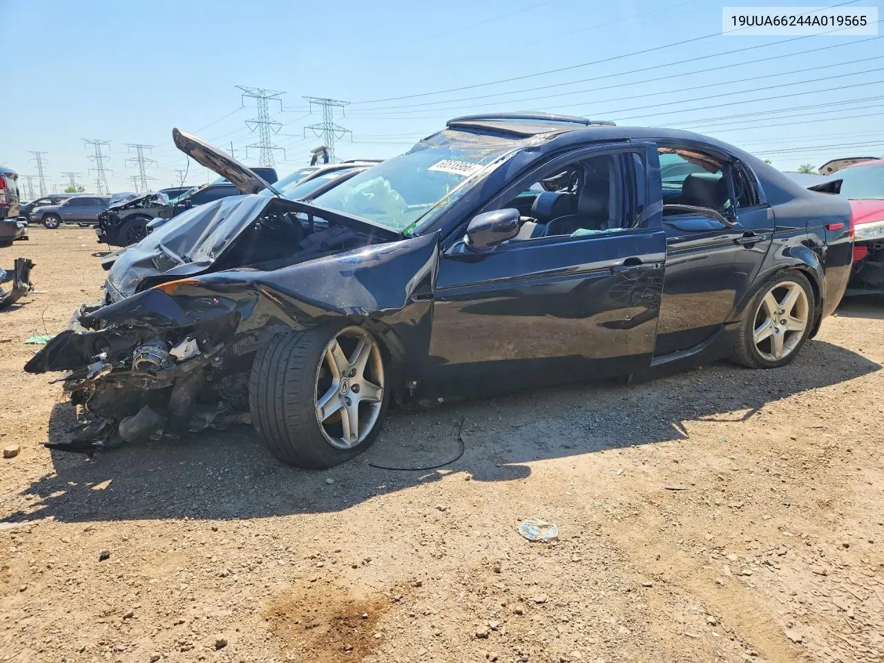 2004 Acura Tl VIN: 19UUA66244A019565 Lot: 60518966