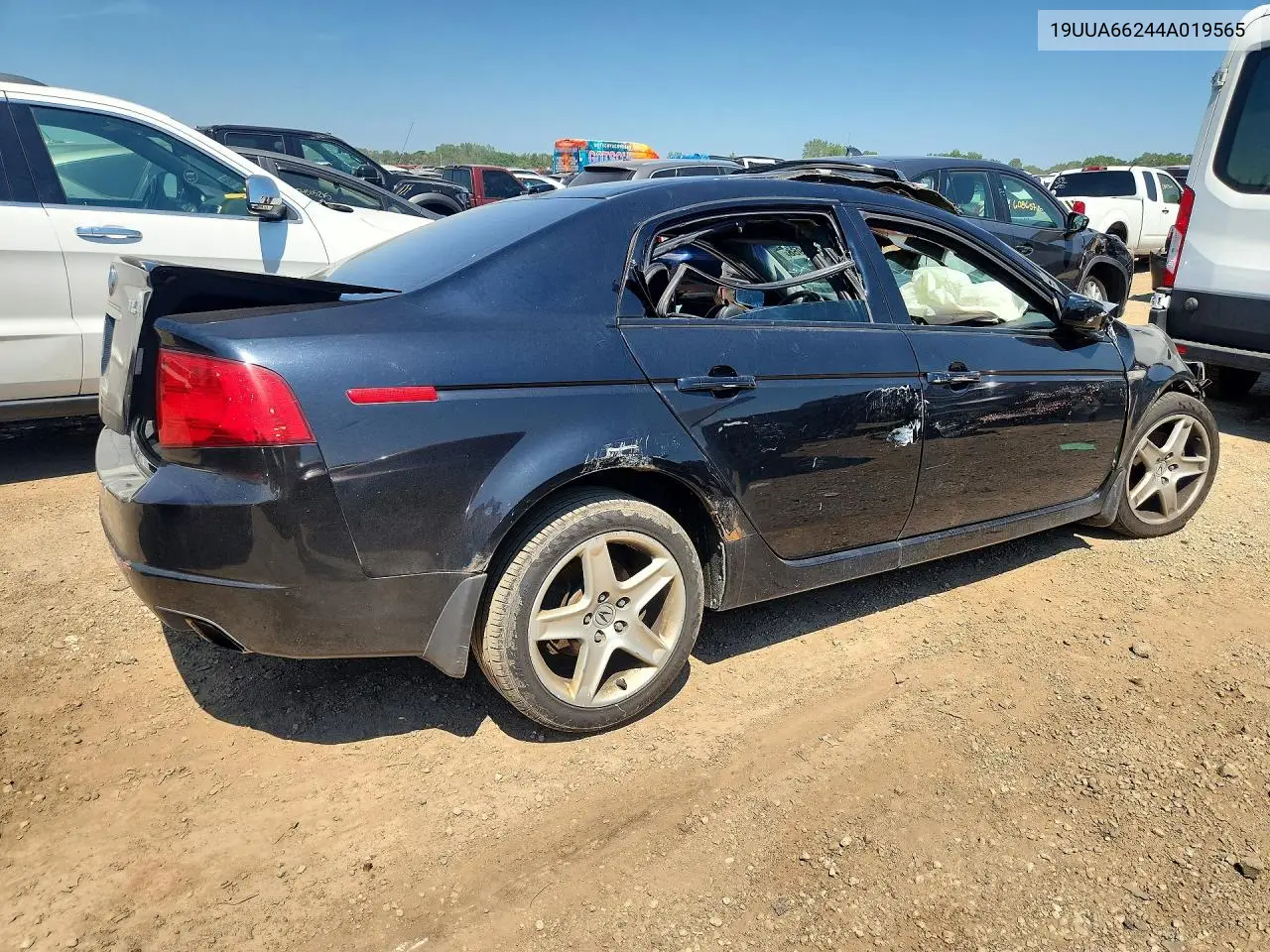 2004 Acura Tl VIN: 19UUA66244A019565 Lot: 60518966