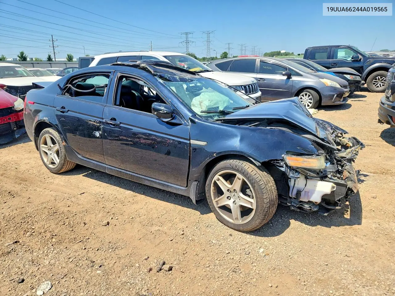2004 Acura Tl VIN: 19UUA66244A019565 Lot: 60518966