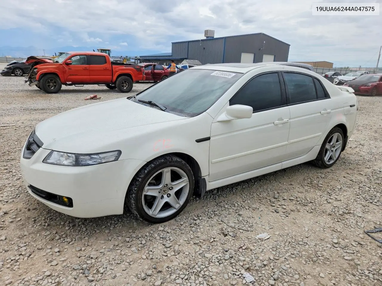 2004 Acura Tl VIN: 19UUA66244A047575 Lot: 62398606
