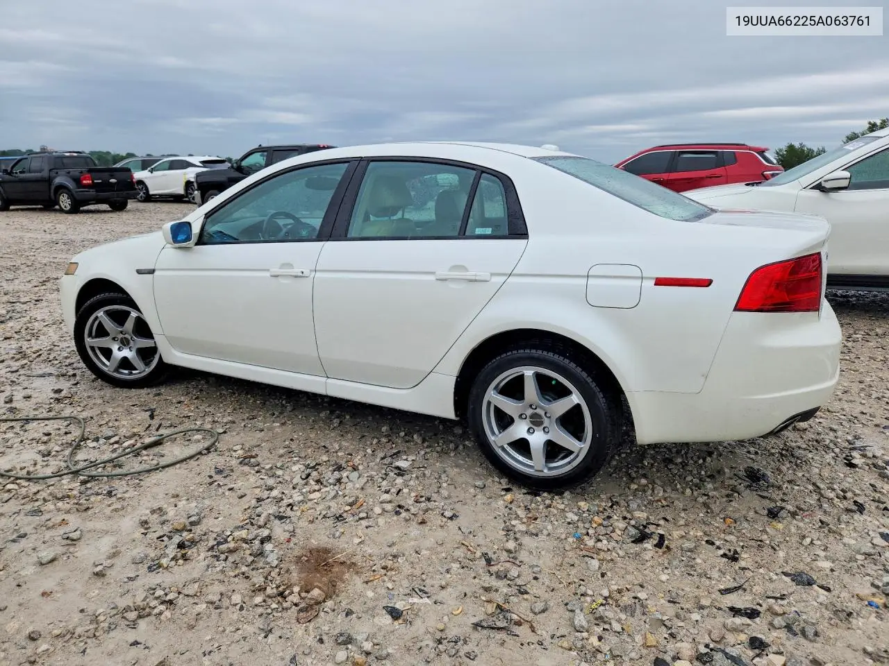 2005 Acura Tl VIN: 19UUA66225A063761 Lot: 57652976