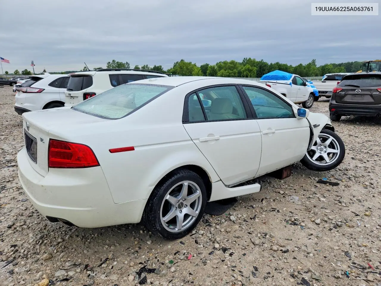 2005 Acura Tl VIN: 19UUA66225A063761 Lot: 57652976